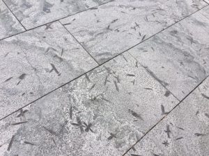 Outdoor_Matrix