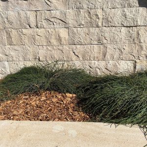 Kalkstein Alexandria Beige Mauersteine als Gartenmauer im Außenbereich