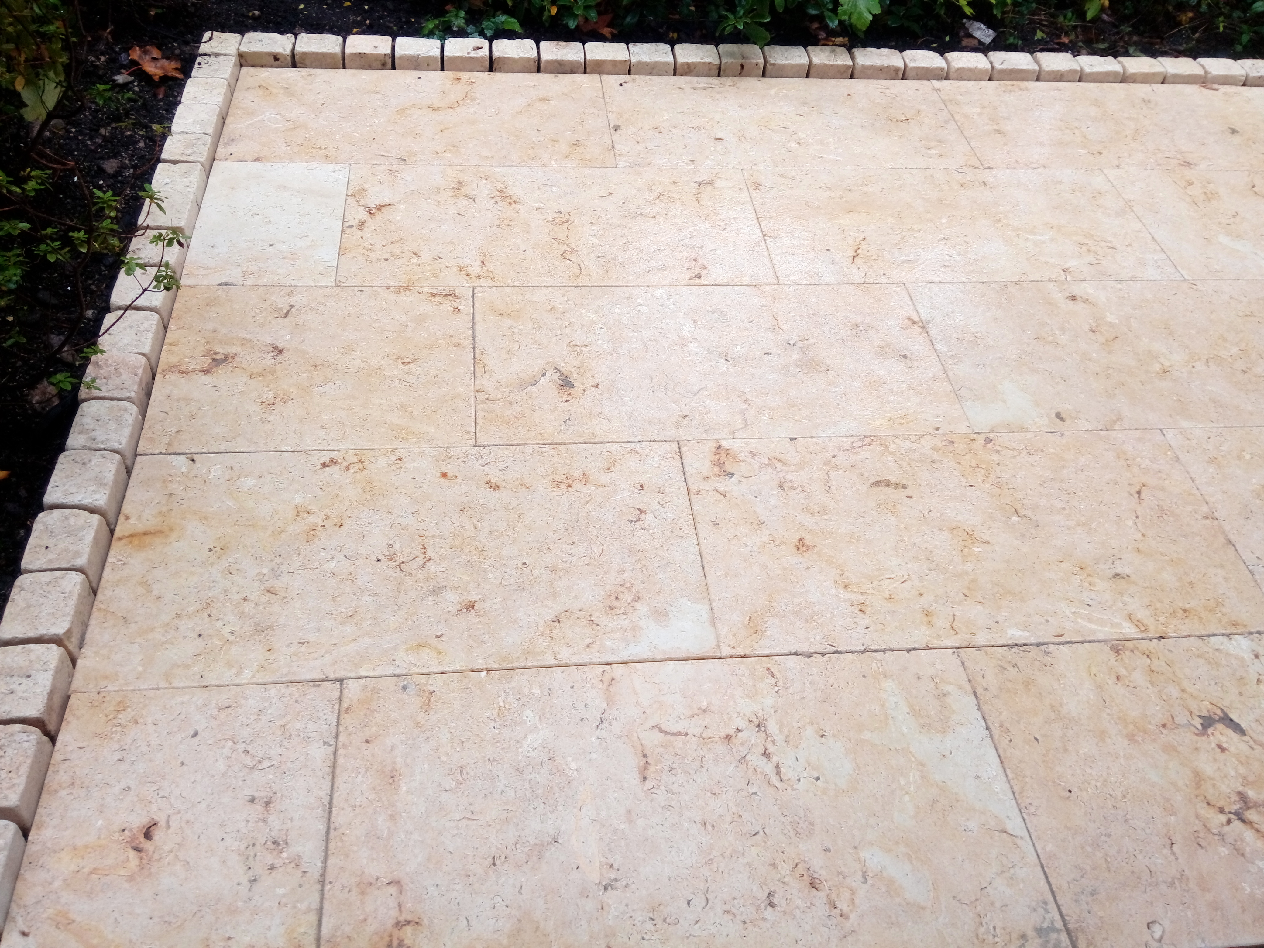 Fossill Gold Muschelkalkstein