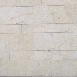 Fossill Gold Muschelkalkstein