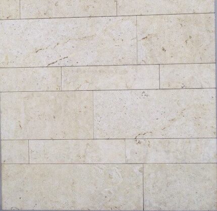 Fossill Gold Muschelkalkstein